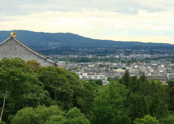 Nara – фотографии Японии