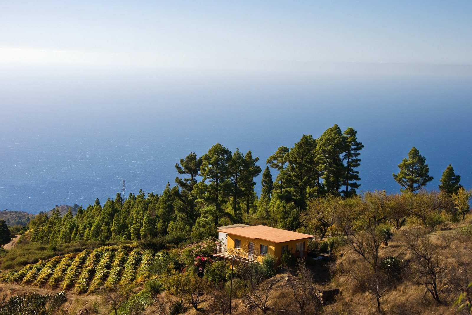 Ла-Пальма остров, Канарские острова, фото № 32022 – фотографии Канарских островов