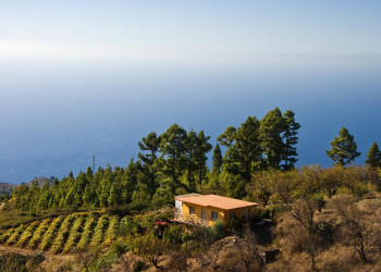 Ла-Пальма остров, Канарские острова, фото № 32022 – фотографии Канарских островов