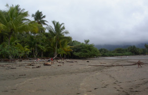 Плайя Увита, Пунтаренас провинция, Коста-Рика, фото № 40980 – фотографии Коста-Рики