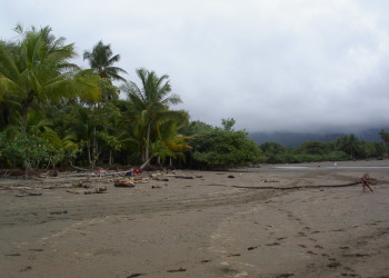 Плайя Увита, Пунтаренас провинция, Коста-Рика, фото № 40980 – фотографии Коста-Рики