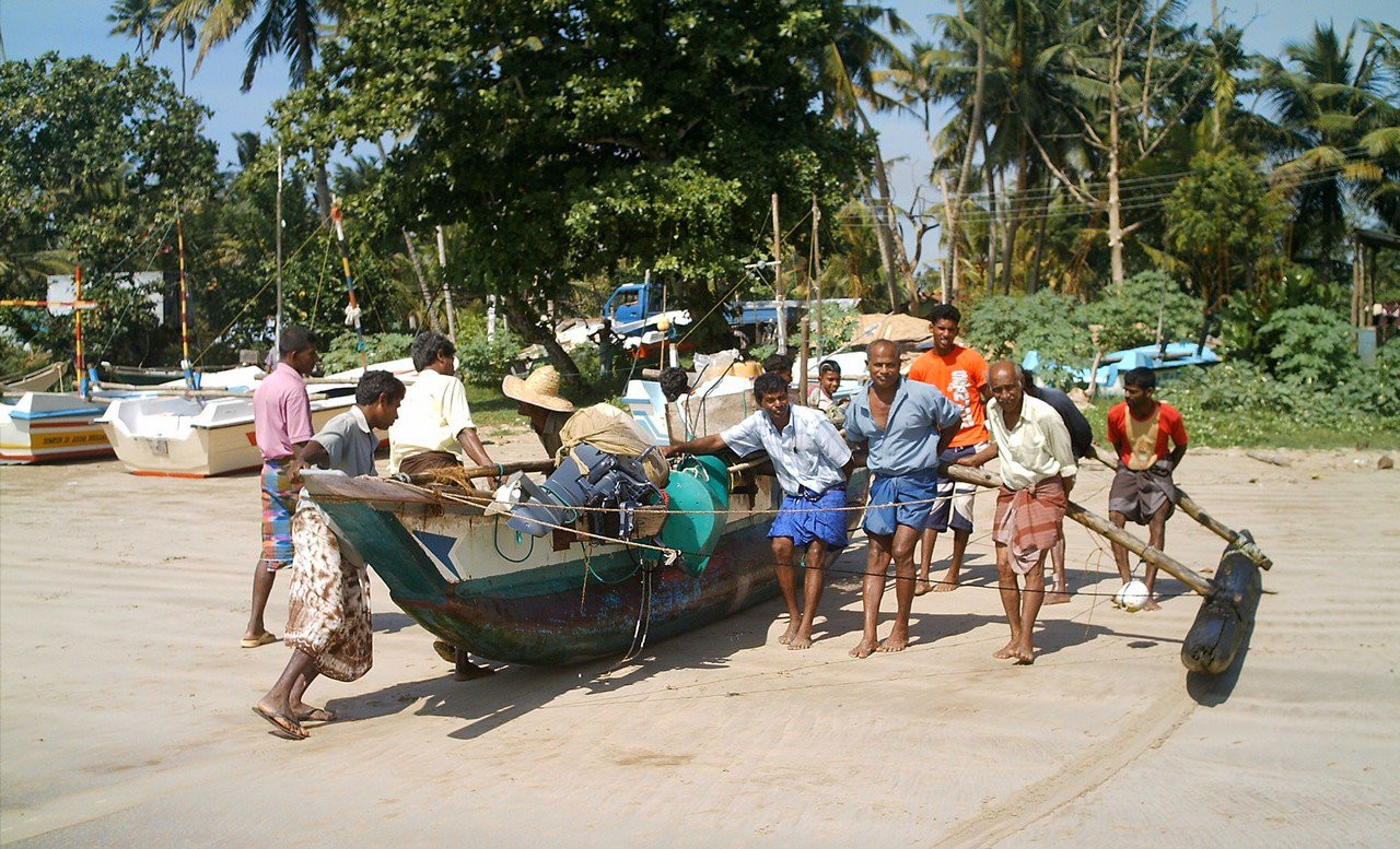 Велигама, Шри-Ланка, фото № 50826 – фотографии Шри-Ланки