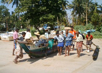 Велигама, Шри-Ланка, фото № 50826 – фотографии Шри-Ланки