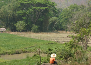 Природа в Кхао-Яй, Тайланд. Фото 6 – фотографии Таиланда