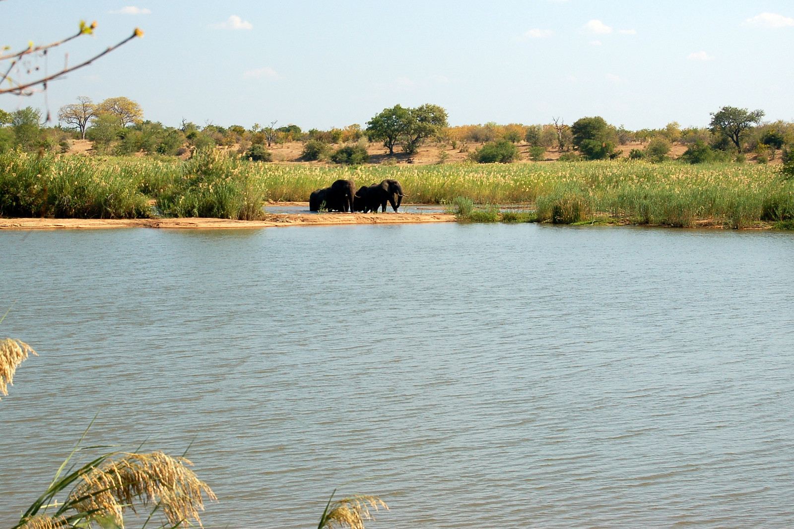 Национальный парк Гонарежу (Gonarezhou), Зимбабве. Фото 4 – фотографии Зимбабве