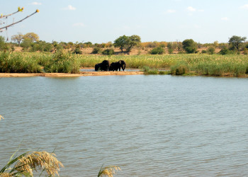 Национальный парк Гонарежу (Gonarezhou), Зимбабве. Фото 4 – фотографии Зимбабве