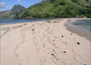 Вайа остров, Ясава группа островов, Фиджи, фото № 49867 – фотографии Фиджи