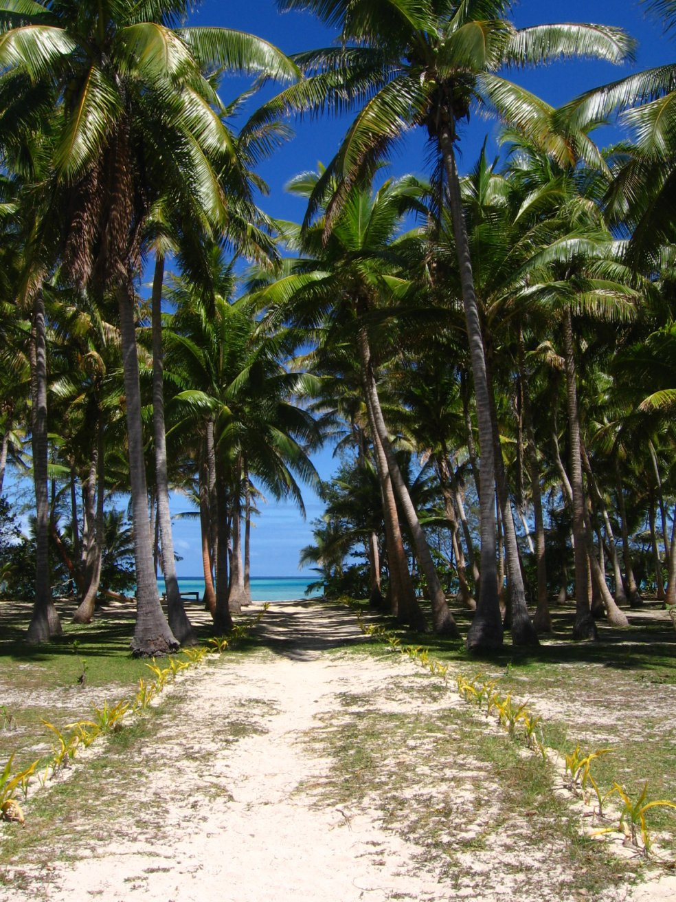 Тавева остров, Ясава группа островов, Фиджи, фото № 50334 – фотографии Фиджи