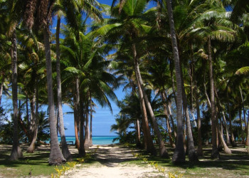 Тавева остров, Ясава группа островов, Фиджи, фото № 50334 – фотографии Фиджи