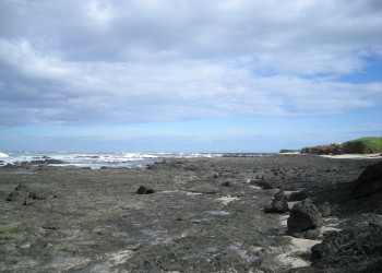 Плайя Нэгра, Гуанакасте провинция, Коста-Рика, фото № 39661 – фотографии Коста-Рики