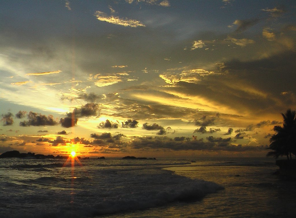 Хиккадува, Шри-Ланка, фото № 52561 – фотографии Шри-Ланки