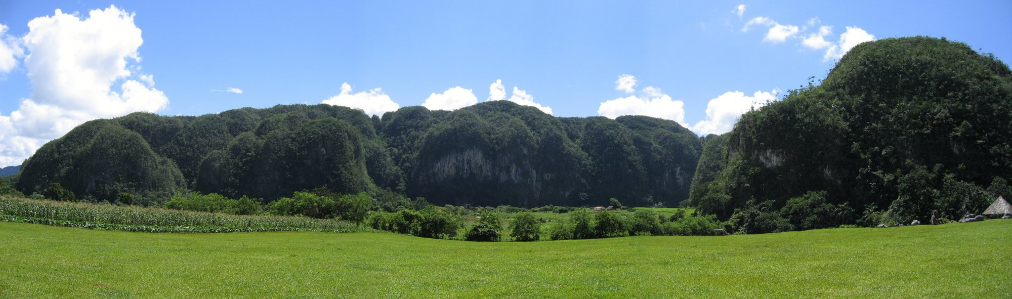 Природа в Пинар дель Рио провинция, Куба. Фото 22 – фотографии Кубы