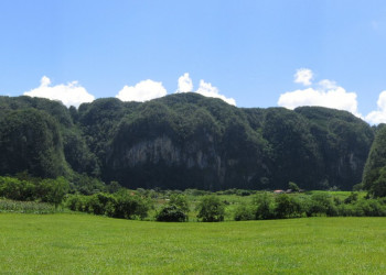 Природа в Пинар дель Рио провинция, Куба. Фото 22 – фотографии Кубы