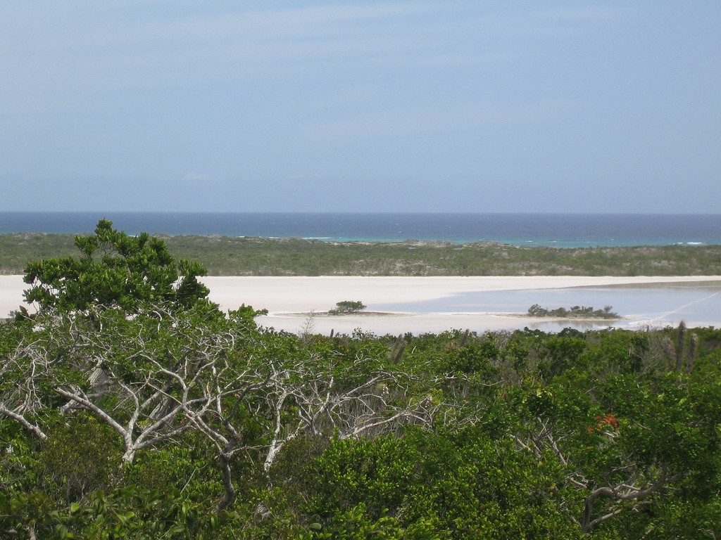 Природа на острове Аклинс, Багамские острова. Фото 3 – фотографии Багамских островов