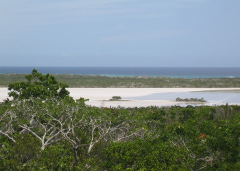 Природа на острове Аклинс, Багамские острова. Фото 3 – фотографии Багамских островов