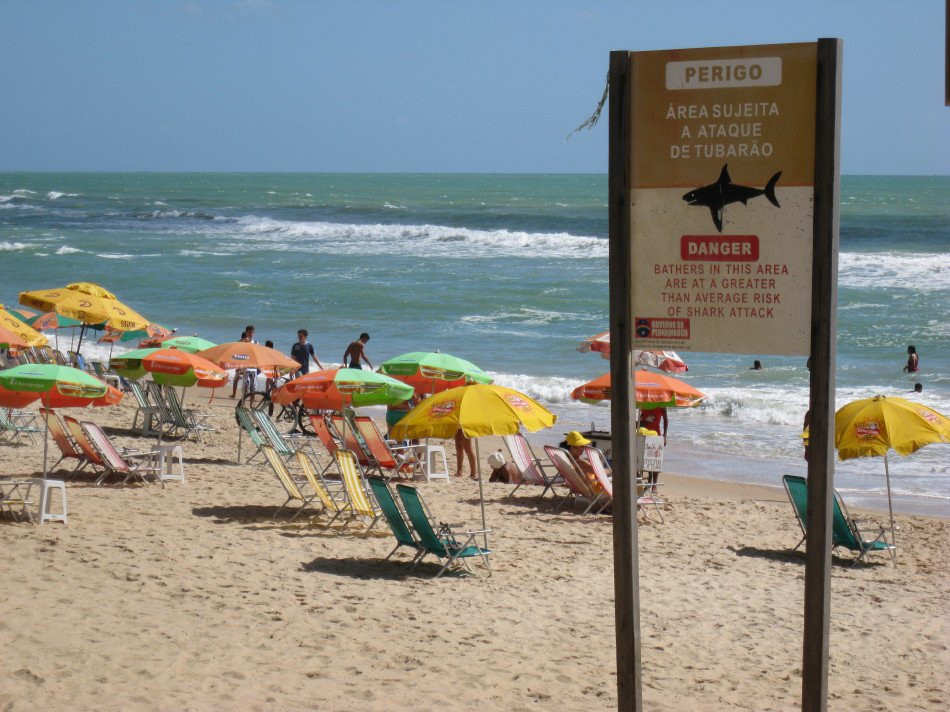 Ресифи, Бразилия, фото № 60046 – фотографии Бразилии