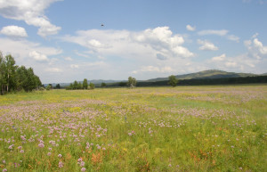 Природа в Дарасун, Россия – фотографии России