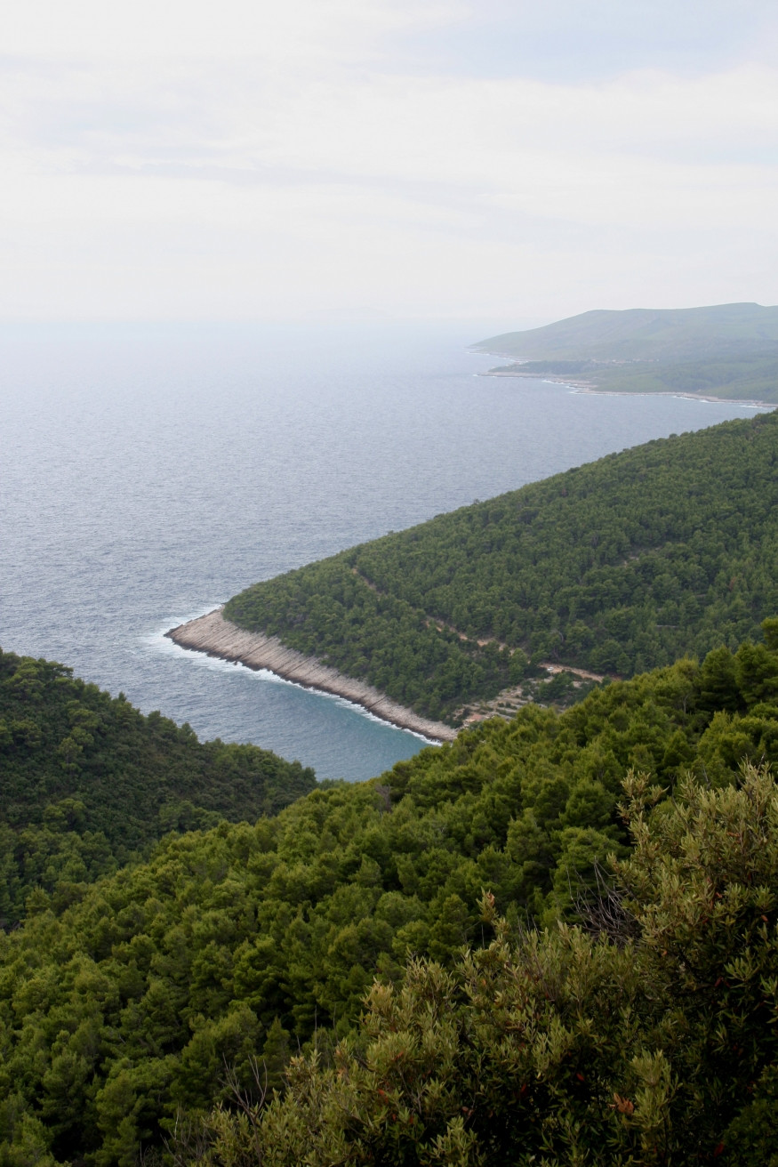Побережье на острове Корчула, Хорватия – фотографии Хорватии