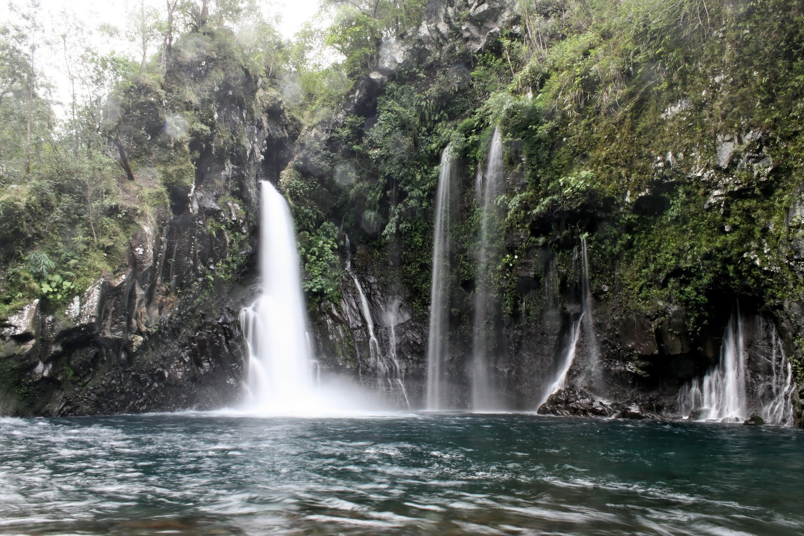 Сен-Жозеф, Реюньон, фото № 26071 – фотографии Реюньона