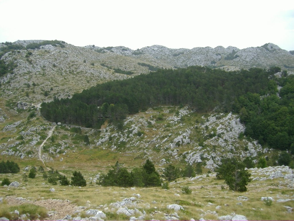 Природный парк, Хорватия – фотографии Хорватии