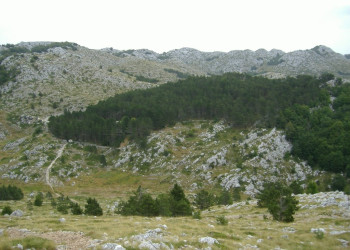 Природный парк, Хорватия – фотографии Хорватии