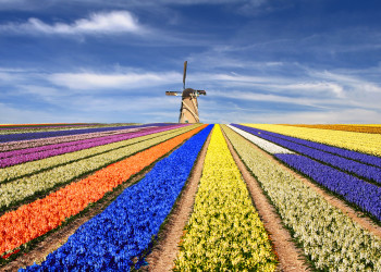 Путешествуем по Голландии. Фото 4 – фотографии Нидерландов