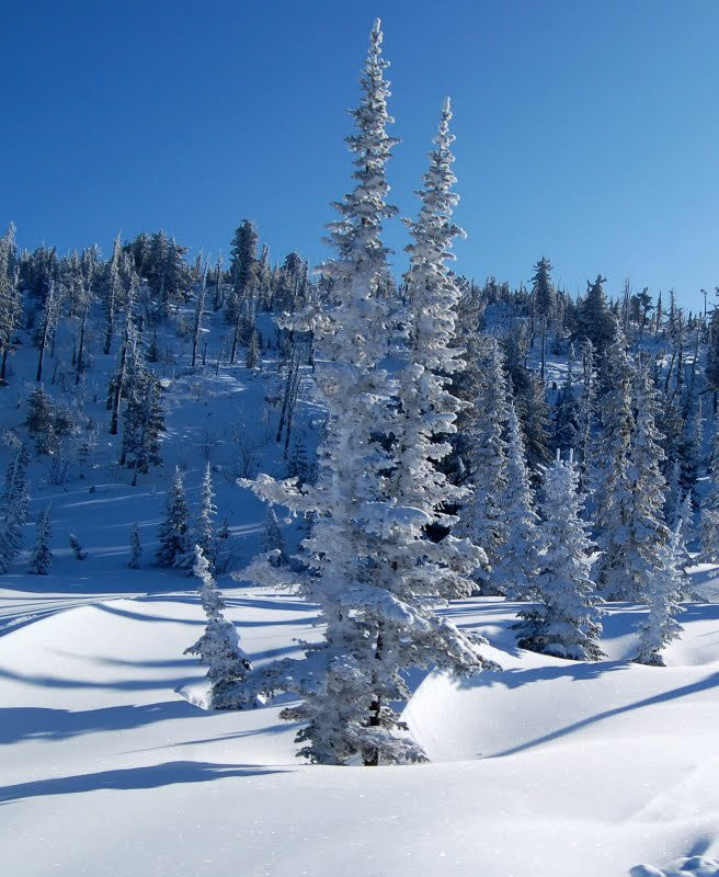 Природа в Шерегеш, Россия. Фото 2 – фотографии России