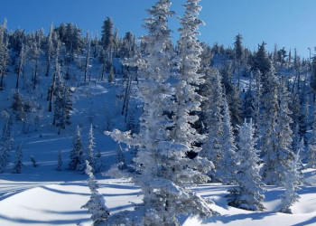 Природа в Шерегеш, Россия. Фото 2 – фотографии России