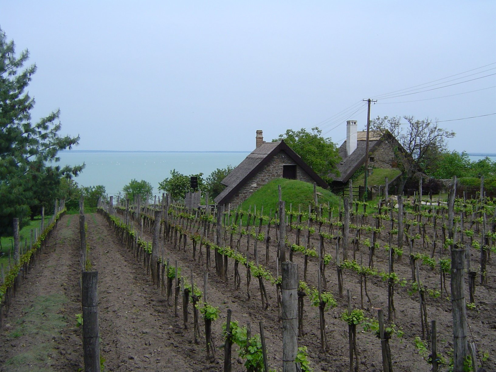 Тихань, Балатон озеро, Венгрия, фото № 69898 – фотографии Венгрии