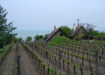 Тихань, Балатон озеро, Венгрия, фото № 69898 – фотографии Венгрии