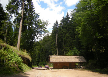 Боржоми, Грузия, фото № 73380 – фотографии Грузии