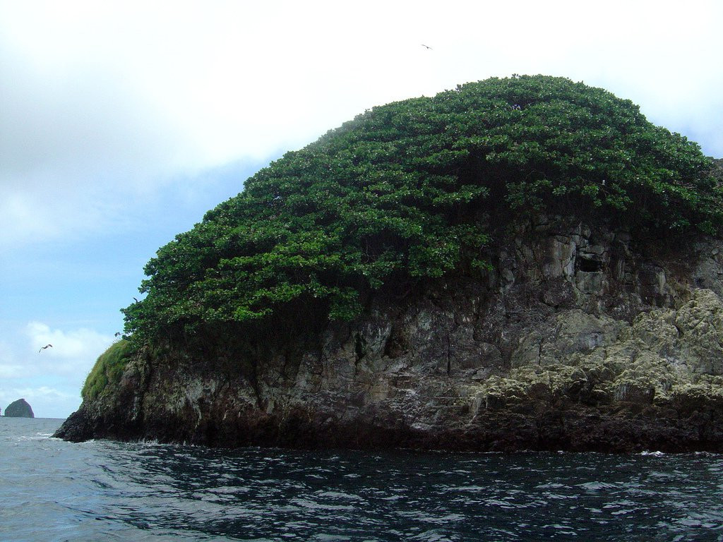 о.Кокос, Пунтаренас провинция, Коста-Рика, фото № 40864 – фотографии Коста-Рики