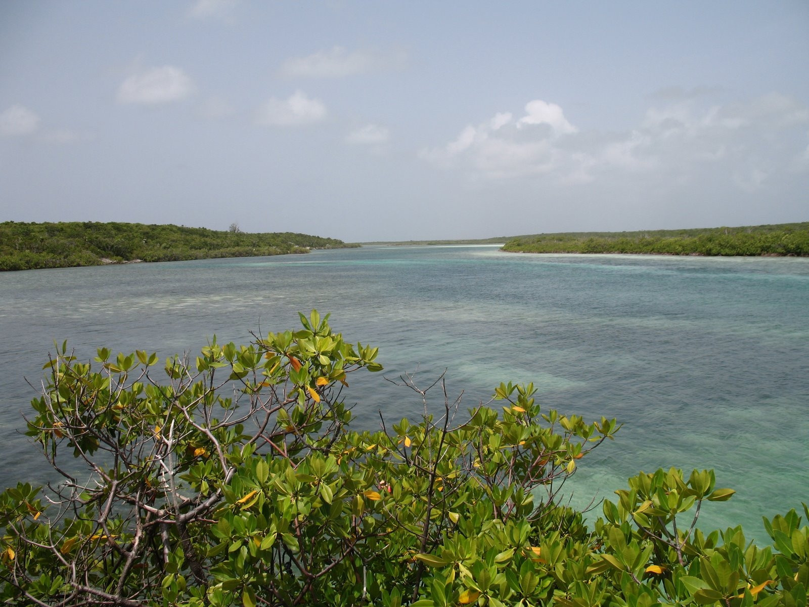 Природа на острове Сан-Сальвадор, Багамские острова – фотографии Багамских островов