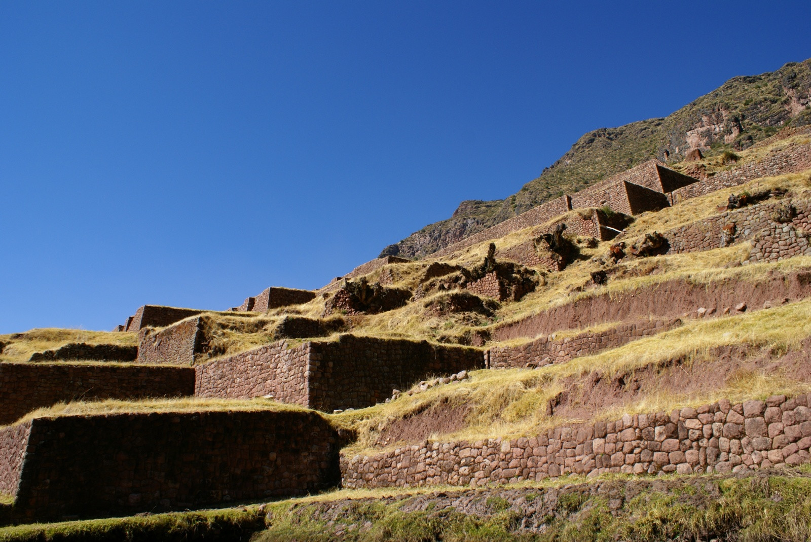 террасы Учуй - Коско – фотографии Перу