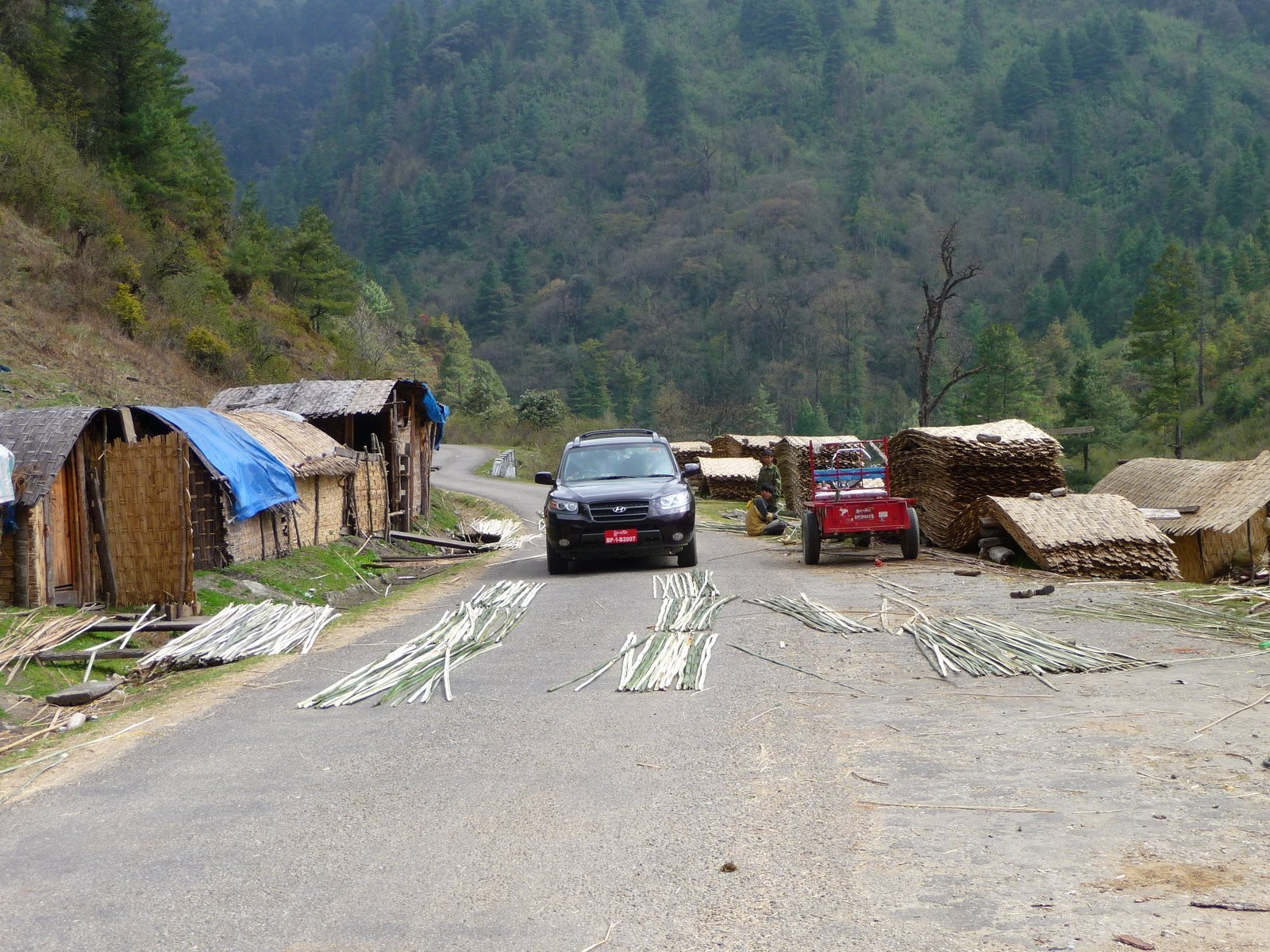 Бутан, фото № 4710 – фотографии Бутана