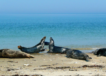 Гельголанд острова, Северная Германия, Германия, фото № 73815 – фотографии Германии