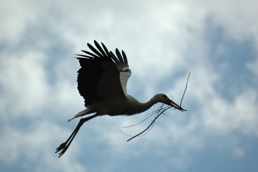 Рабат, Марокко, фото № 7866 – фотографии Марокко