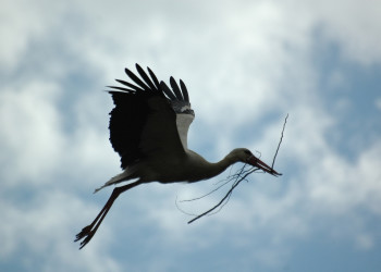 Рабат, Марокко, фото № 7866 – фотографии Марокко