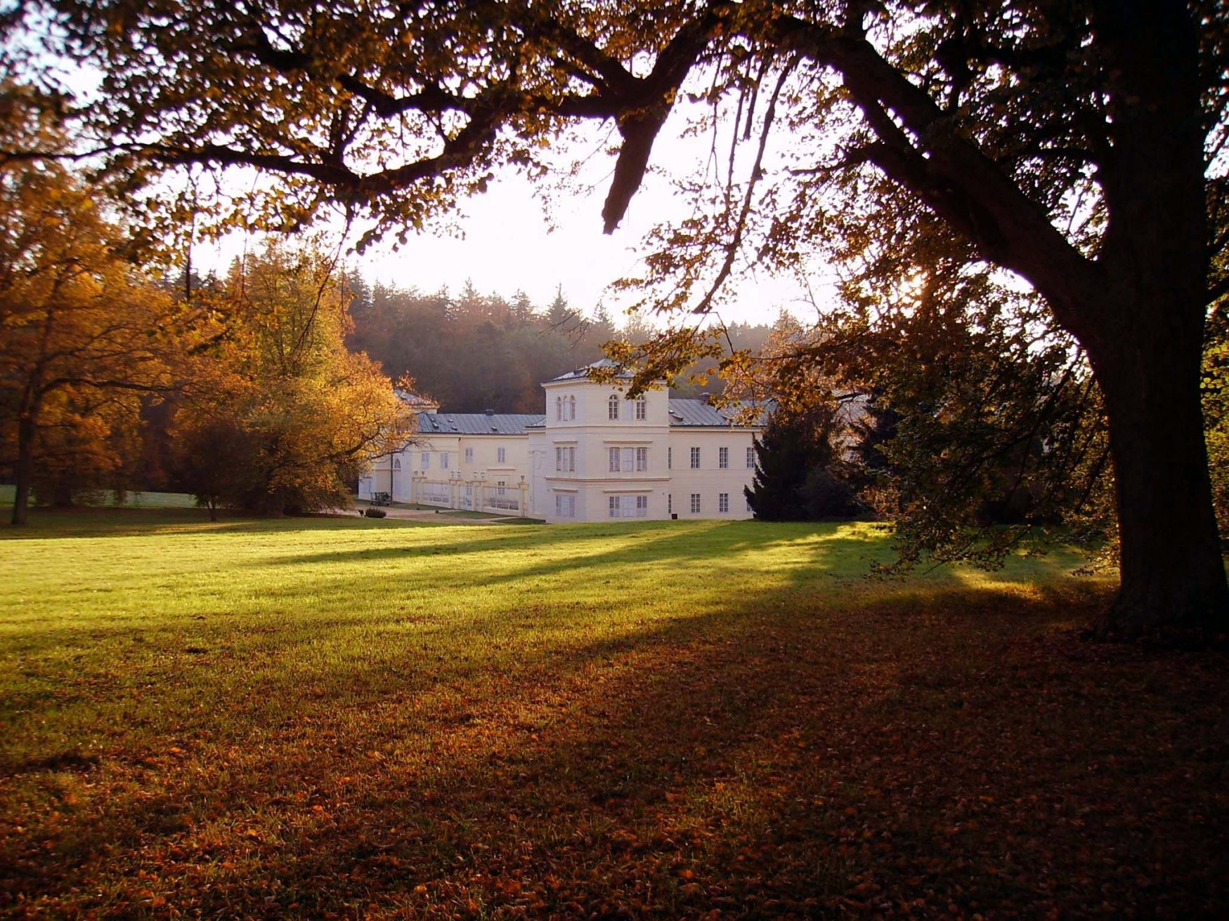 Замок Кинжварт – фотографии Чехии