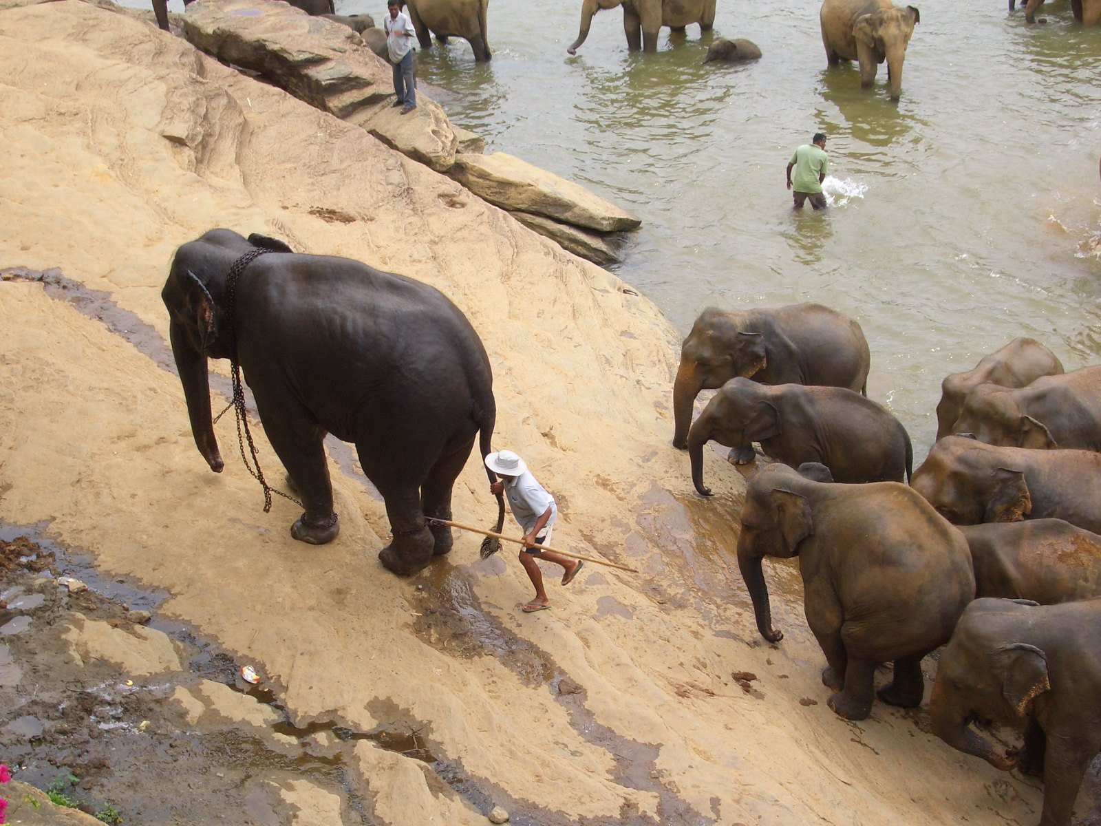 Канди, Шри-Ланка, фото № 51399 – фотографии Шри-Ланки