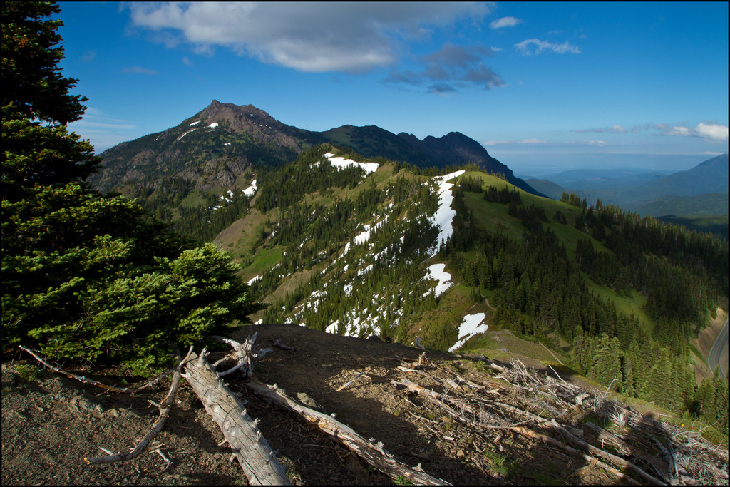 Красоты национального парка Олимпик – фотографии США