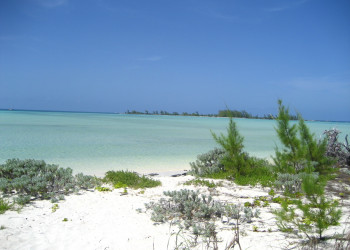 Берег на острове  Берри  Айлендс, Багамские острова. Фото 20 – фотографии Багамских островов