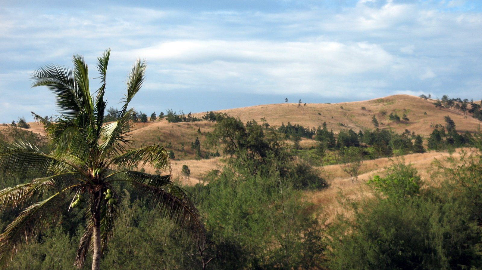 Вити Леву остров, Вити Леву группа островов, Фиджи, фото № 49703 – фотографии Фиджи
