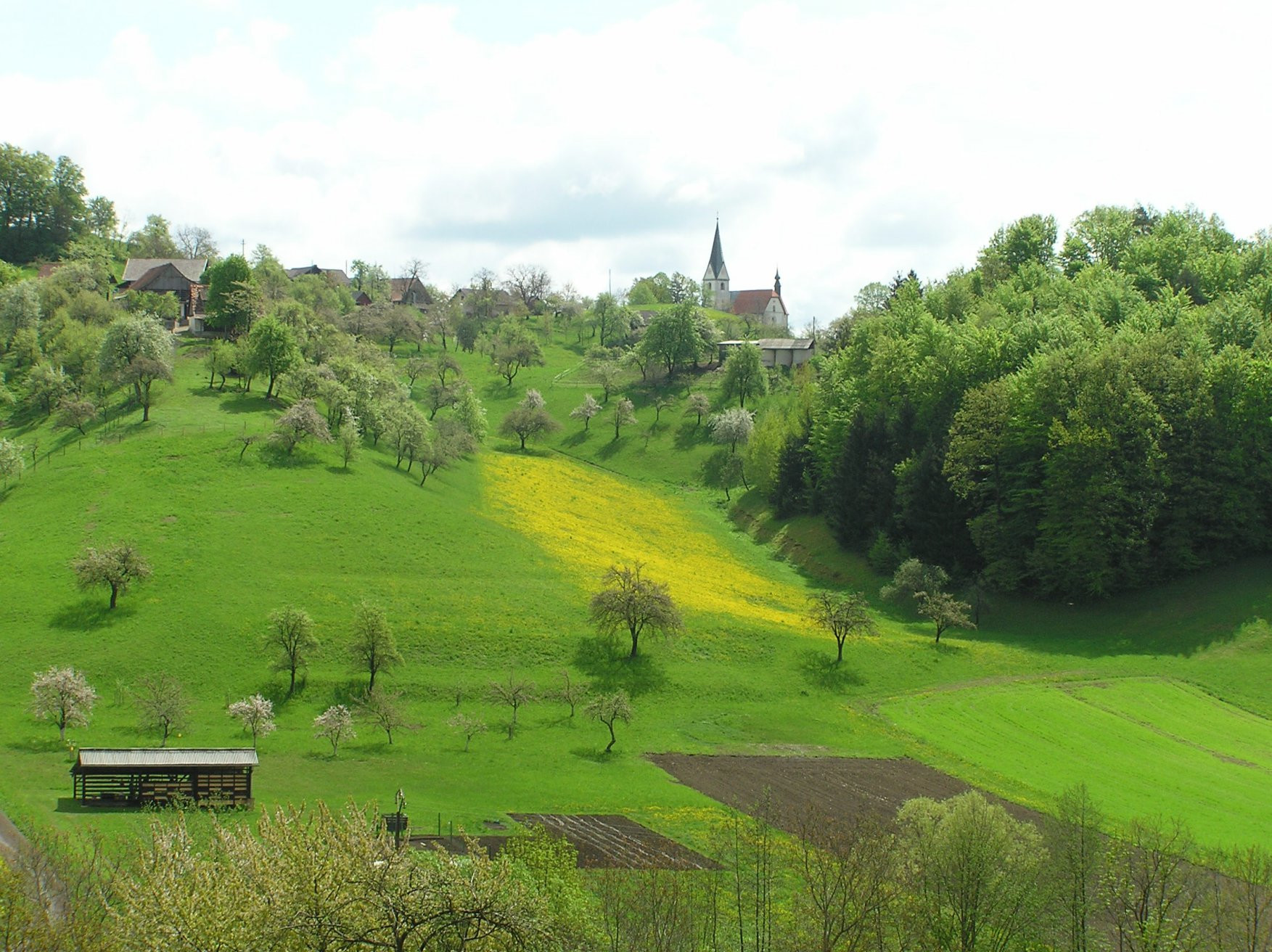 Добрна, Словения, фото № 57027 – фотографии Словении