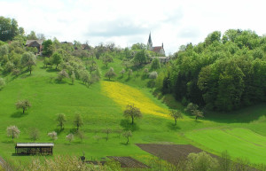 Добрна, Словения, фото № 57027 – фотографии Словении