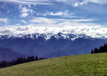 Олимпик (национальный парк). США. Фото 6 – фотографии США