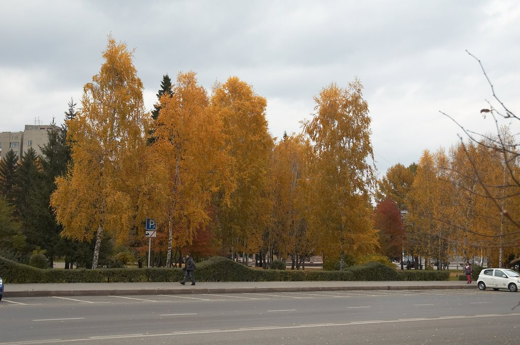 Осень в Кемерово, Россия – фотографии России