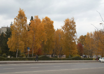 Осень в Кемерово, Россия – фотографии России