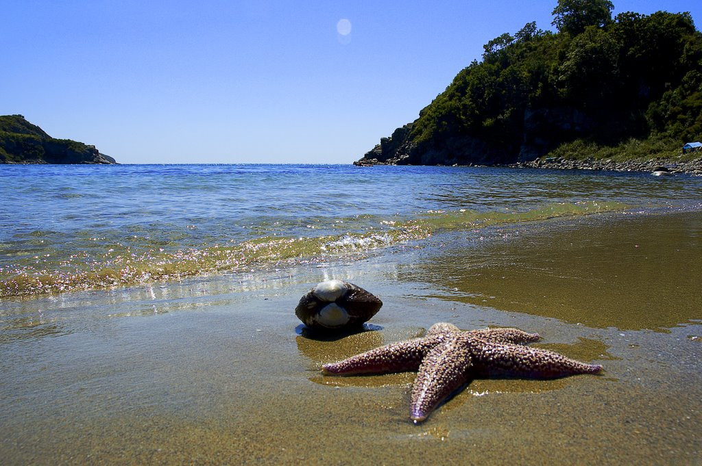 Звезда на Байкале, Россия – фотографии России