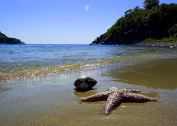 Звезда на Байкале, Россия – фотографии России